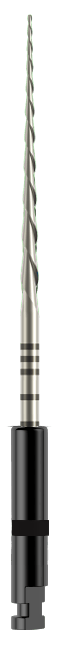 Lima-R-Plus-Preta.png