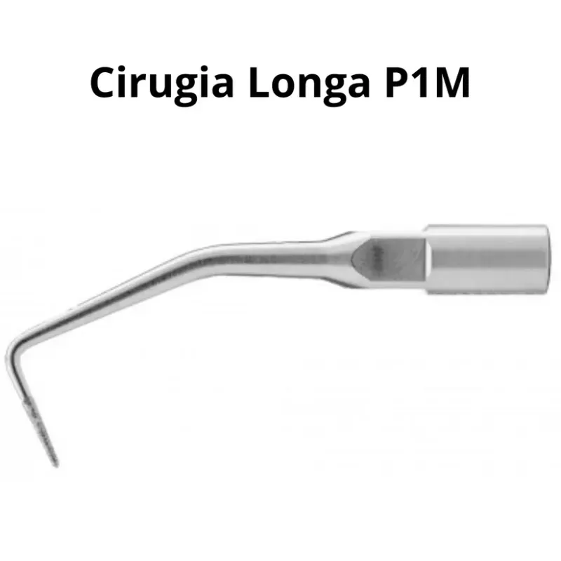 ponta-p1m.webp