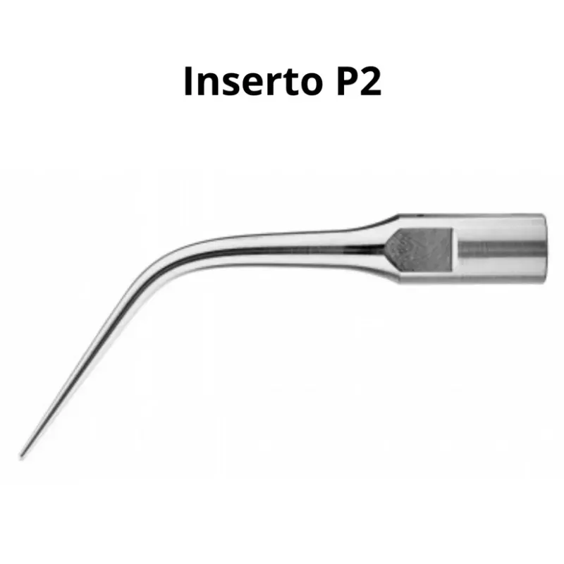ponta-p2.webp