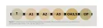 Resina_opallis_flow_fgm_cores.webp