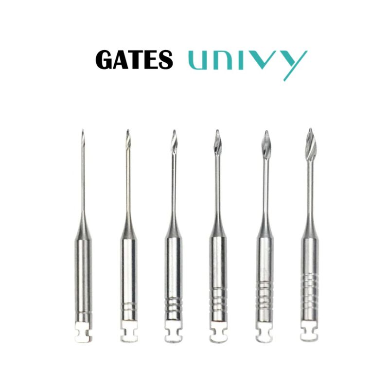 gates univy.jpg