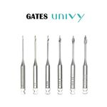 gates univy.jpg