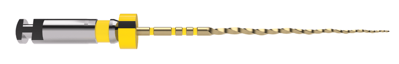 lima trunatomy small.png