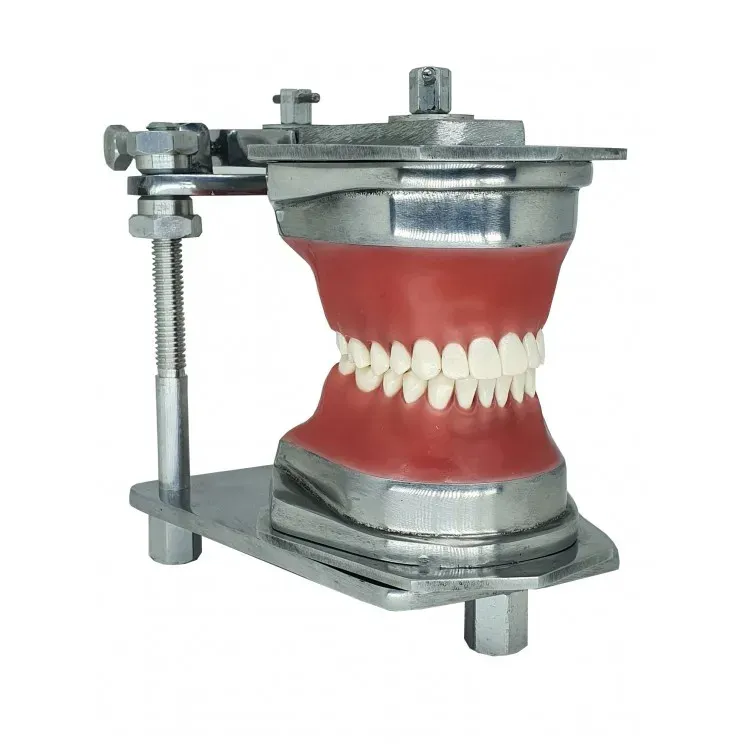 DentalOrtoDente1435.webp