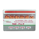 Pro-R--1-.png